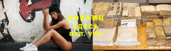 спайс Алзамай