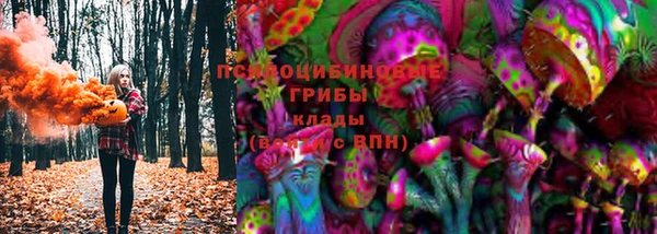 бошки Алексин