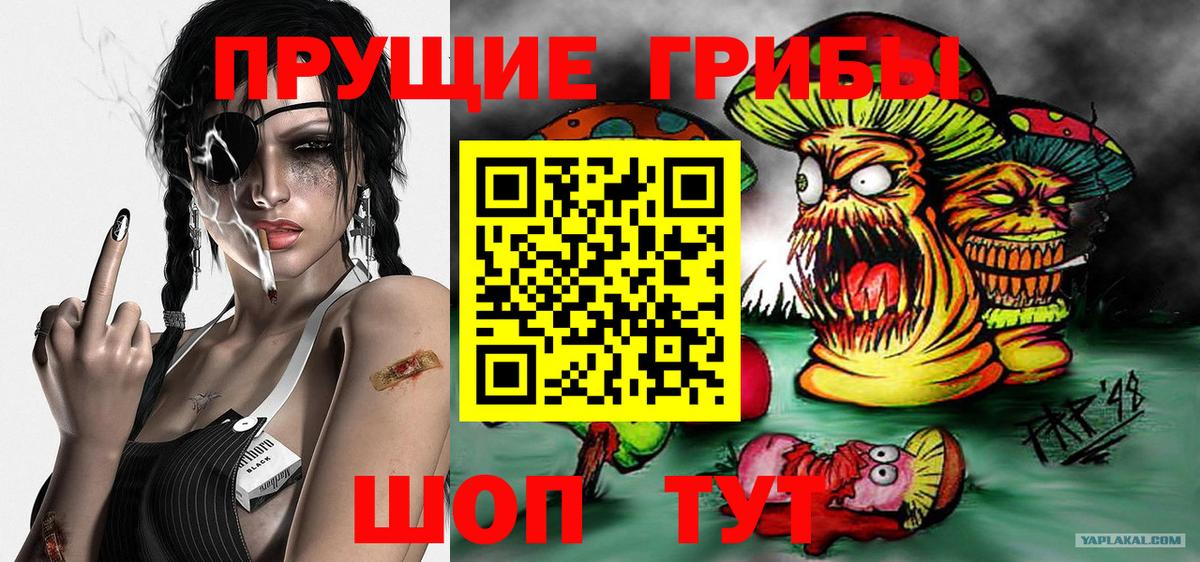 Псилоцибиновые грибы Magic Shrooms  хочу наркоту  Нарткала  Вход с VPN 