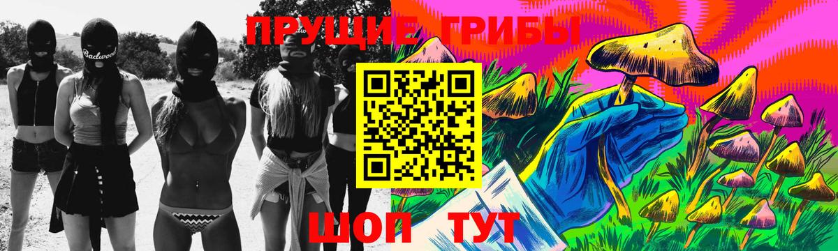 Псилоцибиновые грибы Psilocybe Нарткала